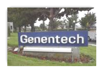 Roche (Genentech) Requests Hearing From the FDA Regarding Avastin for ...